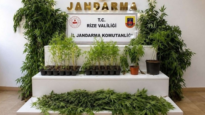 Rize Jandarmasından Ağustos Ayında Suçlulara Geçit Yok: 77 Aranan Şahıs Yakalandı